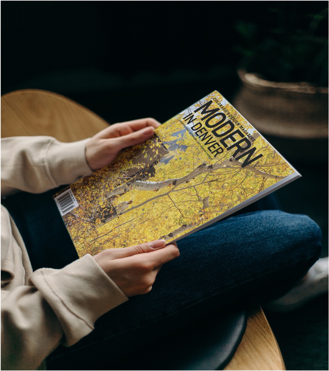 2025 Impact Award • Modern In Denver